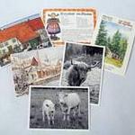 Cartes postales Alsace Bossue